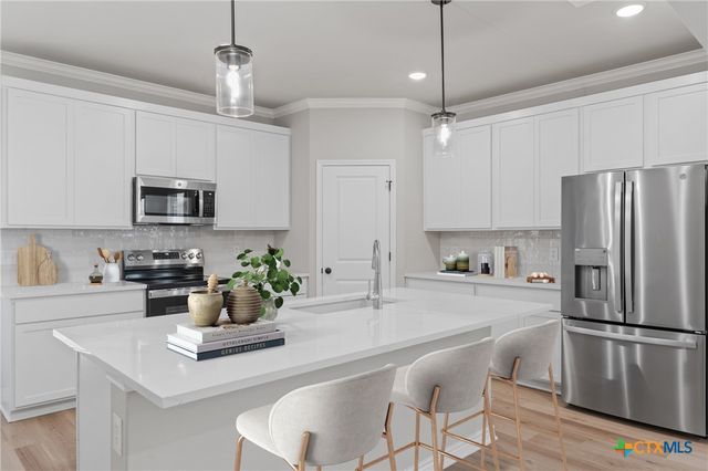 7228 Caladium Drive, Temple, TX 76502