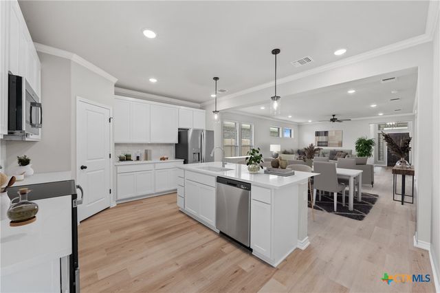 7228 Caladium Drive, Temple, TX 76502