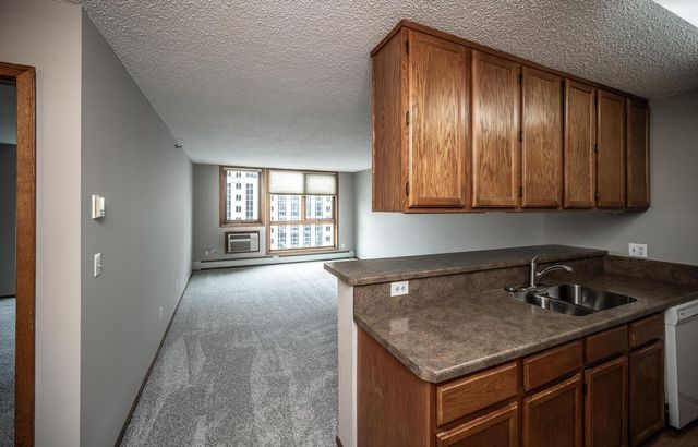 433 S 7th Street 1819, Minneapolis, MN 55415