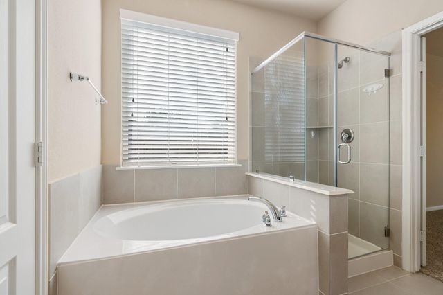 3751 Paladera Place Court, Spring, TX 77386