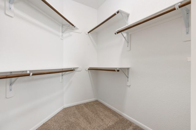 3751 Paladera Place Court, Spring, TX 77386