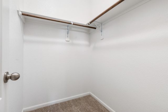 3751 Paladera Place Court, Spring, TX 77386