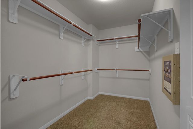 12411 King Olaf Drive, Houston, TX 77044