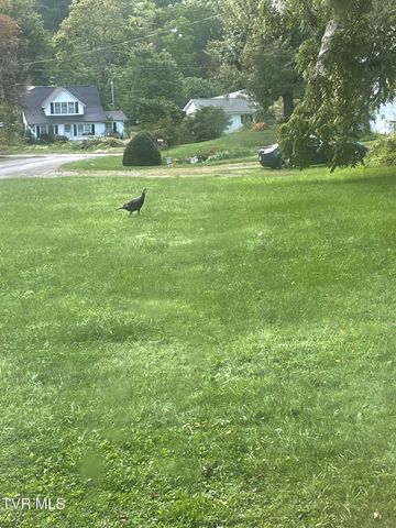 141 Canter Road, Trade, TN 37691