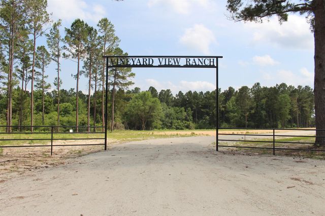 Tract 32 County Road 2170, Grapeland, TX 75844