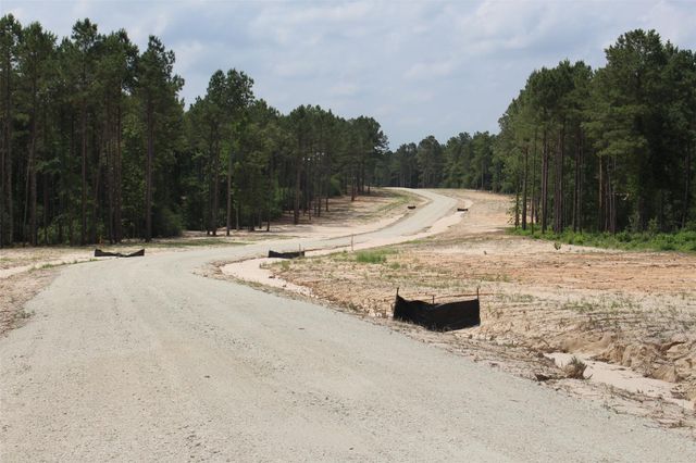 Tract 32 County Road 2170, Grapeland, TX 75844