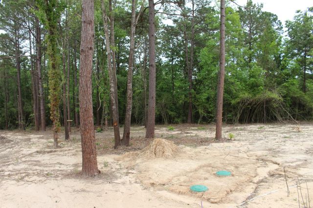 Tract 32 County Road 2170, Grapeland, TX 75844