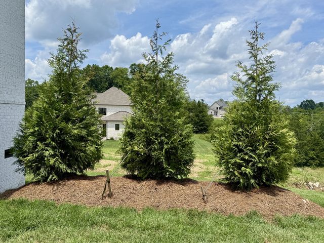 1954 Napa Drive, Brentwood, TN 37027