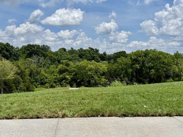 1954 Napa Drive, Brentwood, TN 37027