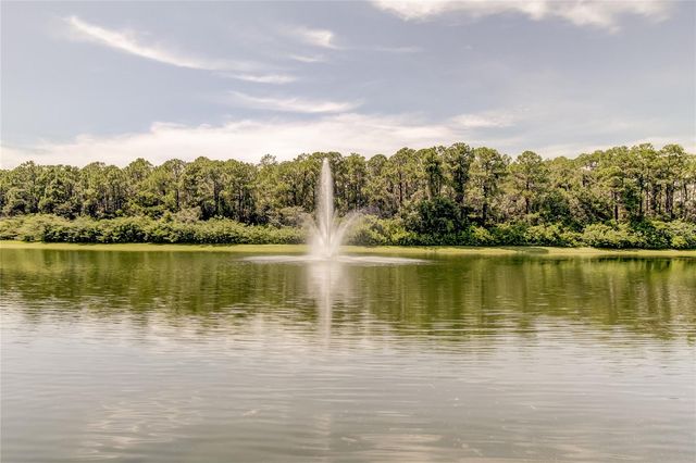 12557 BASSBROOK LANE, Tampa, FL 33626