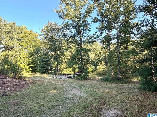 423 HODGENS ROAD, Chelsea, AL 35043