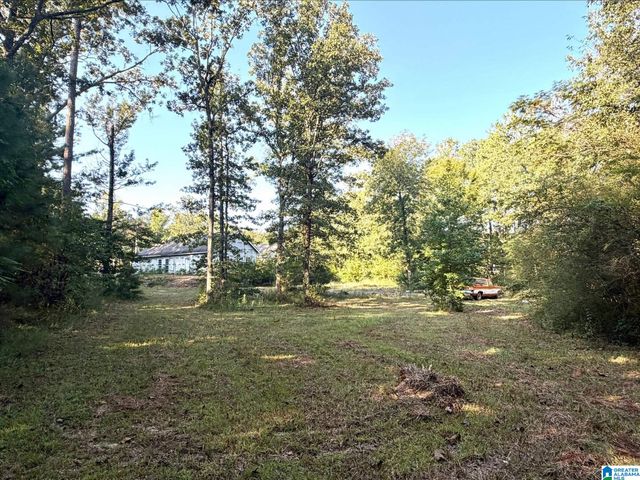 423 HODGENS ROAD, Chelsea, AL 35043