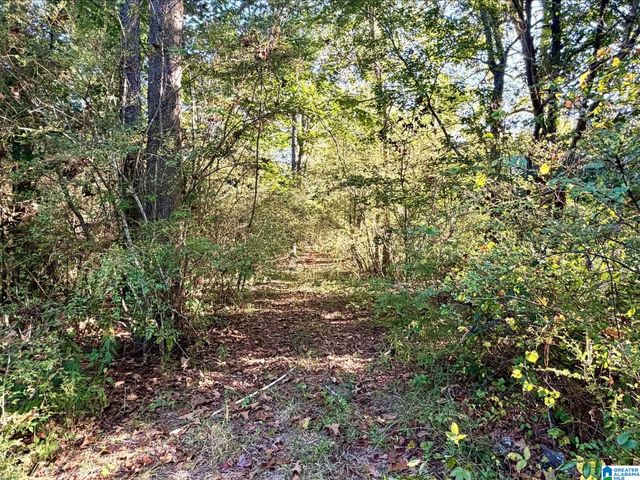 423 HODGENS ROAD, Chelsea, AL 35043