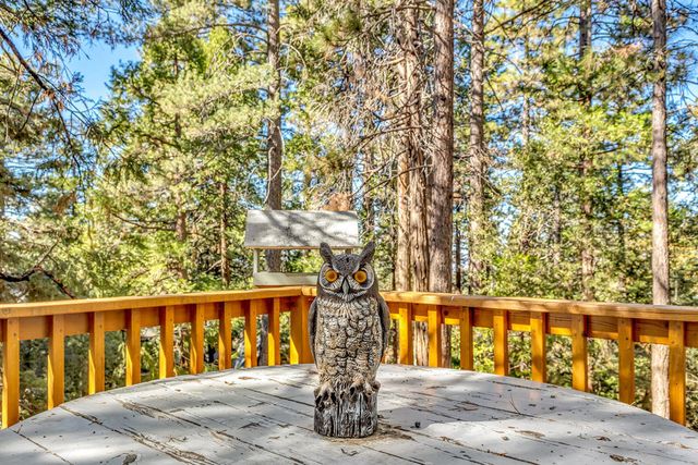 52402 Pine Ridge Road, Idyllwild, CA 92549