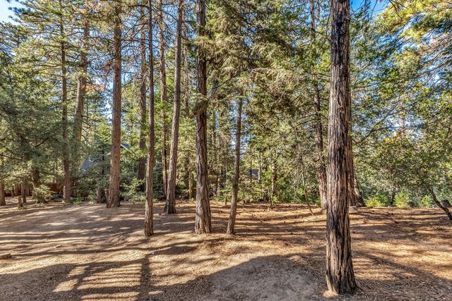 52402 Pine Ridge Road, Idyllwild, CA 92549
