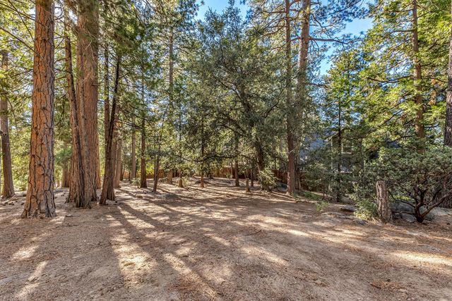 52402 Pine Ridge Road, Idyllwild, CA 92549