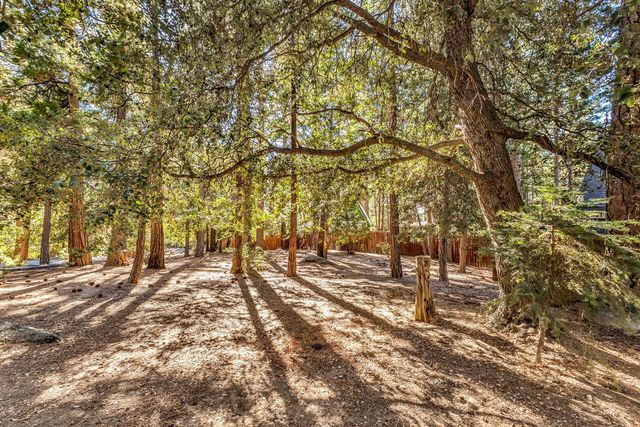 52402 Pine Ridge Road, Idyllwild, CA 92549