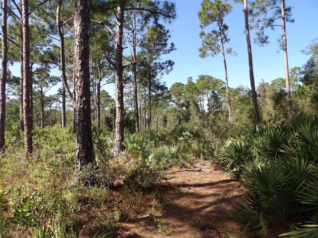00 Bald Cypress Trail, Fort Pierce, FL 34951