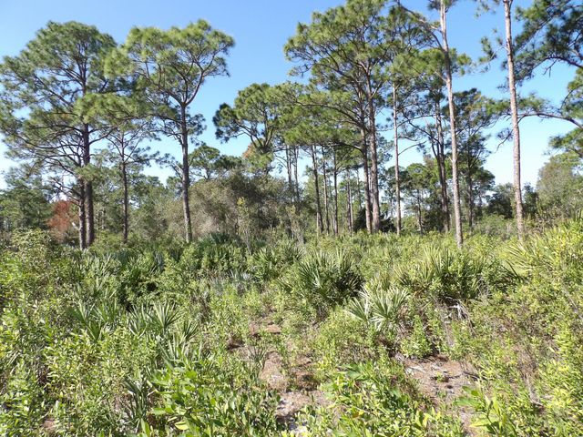 00 Bald Cypress Trail, Fort Pierce, FL 34951