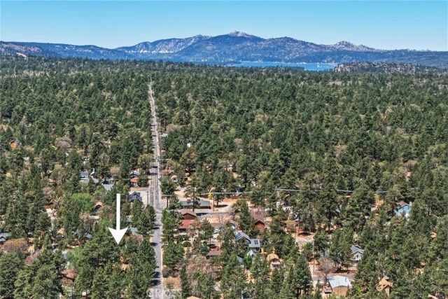 513 Cedar Ln, Sugarloaf, CA 92386