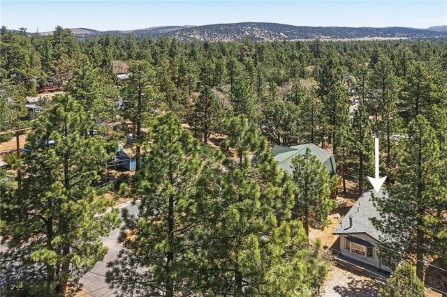 513 Cedar Ln, Sugarloaf, CA 92386