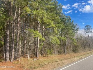 7775 Seven Creeks Highway, Nakina, NC 28455