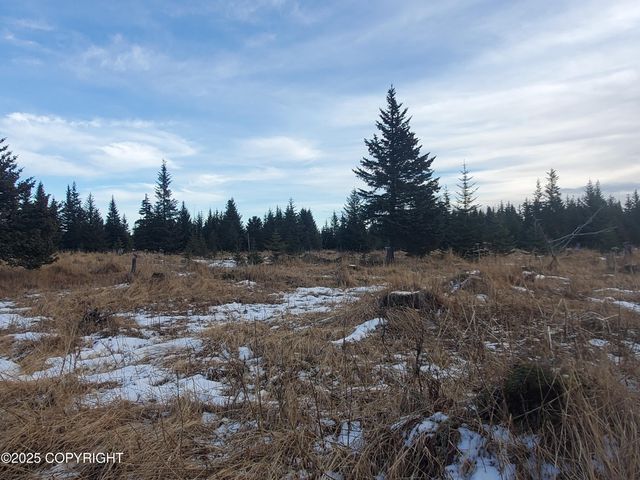 17626 Chefornak Street, Ninilchik, AK 99639