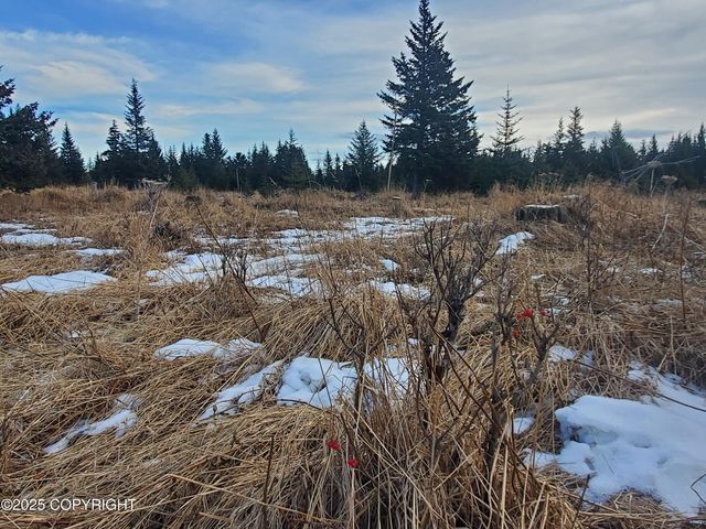 17626 Chefornak Street, Ninilchik, AK 99639