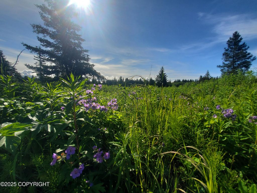 17626 Chefornak Street, Ninilchik, AK 99639