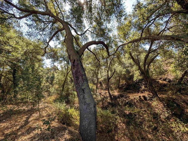 18868 Paradise Mountain Road, Valley Center, CA 92082
