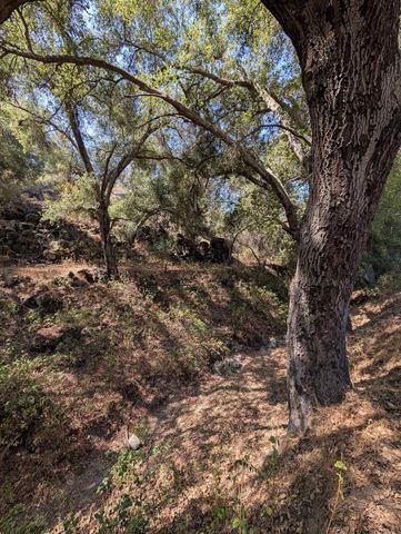 18868 Paradise Mountain Road, Valley Center, CA 92082