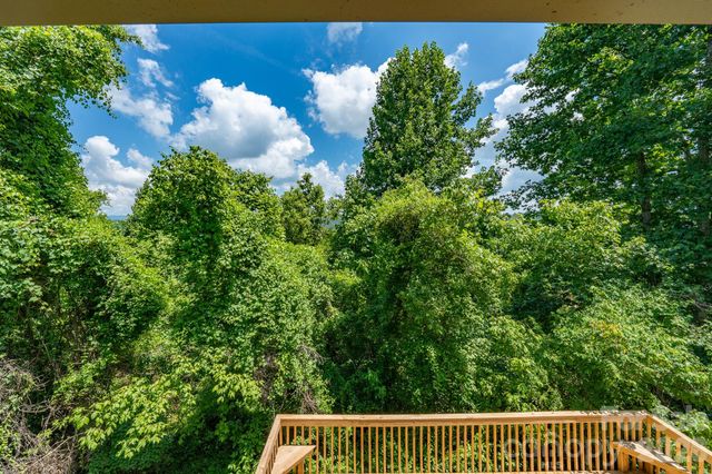 366 Cabin Hollow Drive, Marshall, NC 28753
