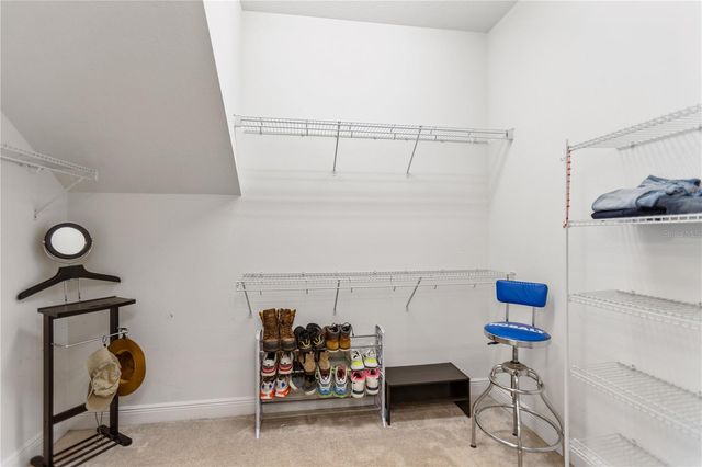 4289 TOUR TRACE, Land O Lakes, FL 34638