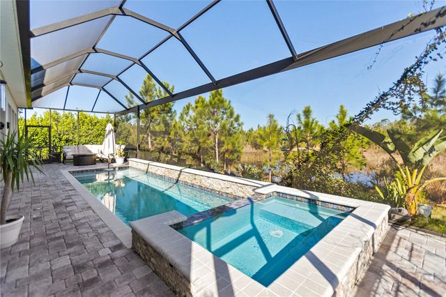 4289 TOUR TRACE, Land O Lakes, FL 34638