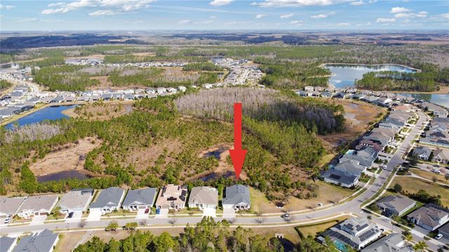 4289 TOUR TRACE, Land O Lakes, FL 34638