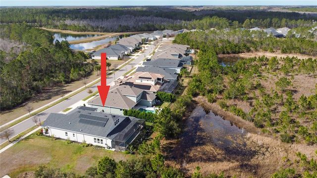 4289 TOUR TRACE, Land O Lakes, FL 34638