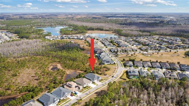 4289 TOUR TRACE, Land O Lakes, FL 34638