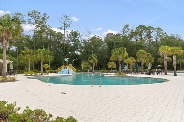 4289 TOUR TRACE, Land O Lakes, FL 34638