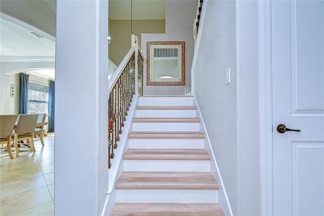 19914 BLUFF OAK BOULEVARD, Tampa, FL 33647