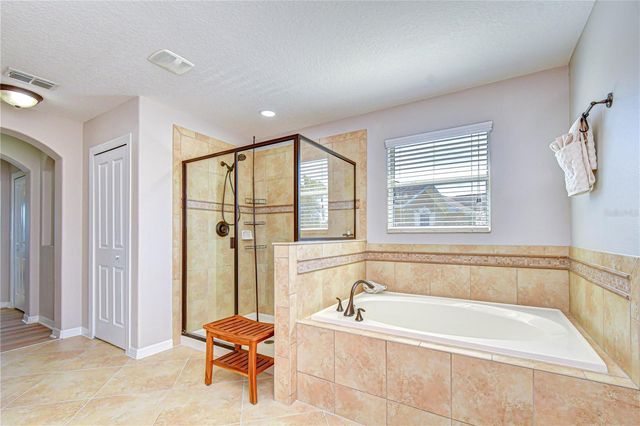 19914 BLUFF OAK BOULEVARD, Tampa, FL 33647