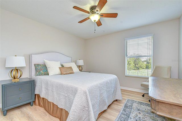 19914 BLUFF OAK BOULEVARD, Tampa, FL 33647