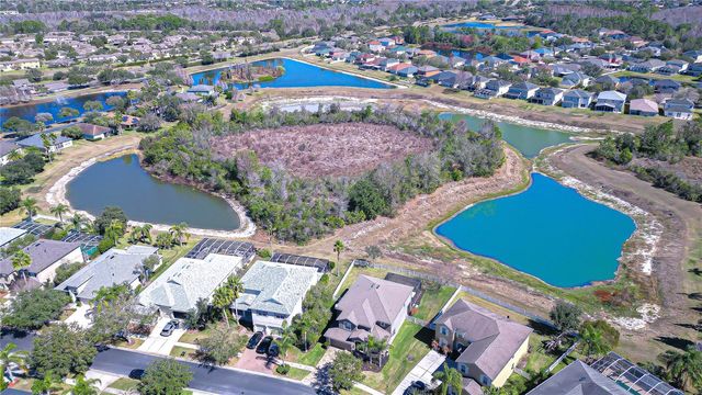 19914 BLUFF OAK BOULEVARD, Tampa, FL 33647