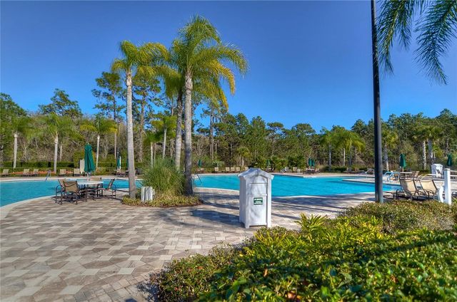 19914 BLUFF OAK BOULEVARD, Tampa, FL 33647