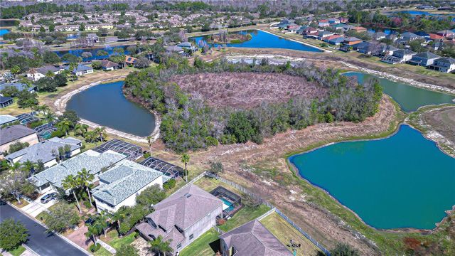 19914 BLUFF OAK BOULEVARD, Tampa, FL 33647