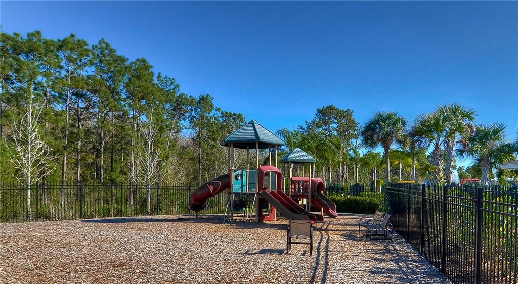 Image 41 of property listing at 19914 BLUFF OAK BOULEVARD, Tampa, FL 33647
