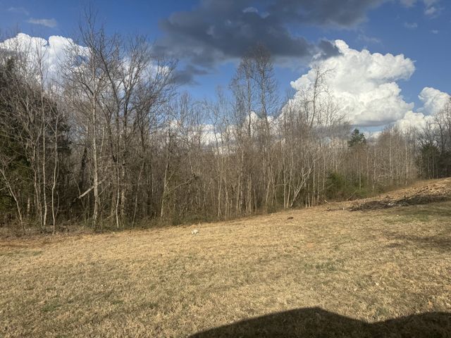 0 White Rd, Wartrace, TN 37183