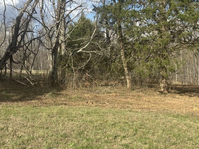 0 White Rd, Wartrace, TN 37183
