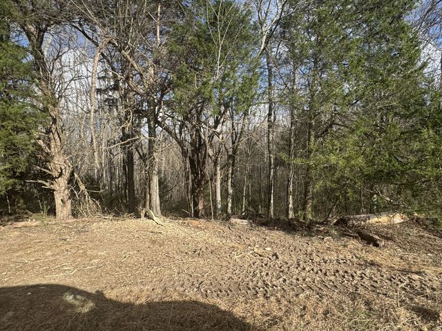 0 White Rd, Wartrace, TN 37183