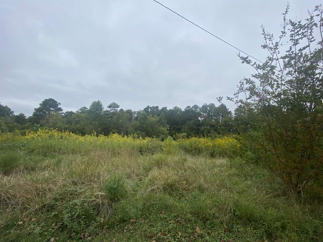 740 Cornelius Street, Hillsborough, NC 27278