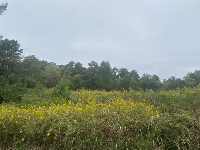 740 Cornelius Street, Hillsborough, NC 27278